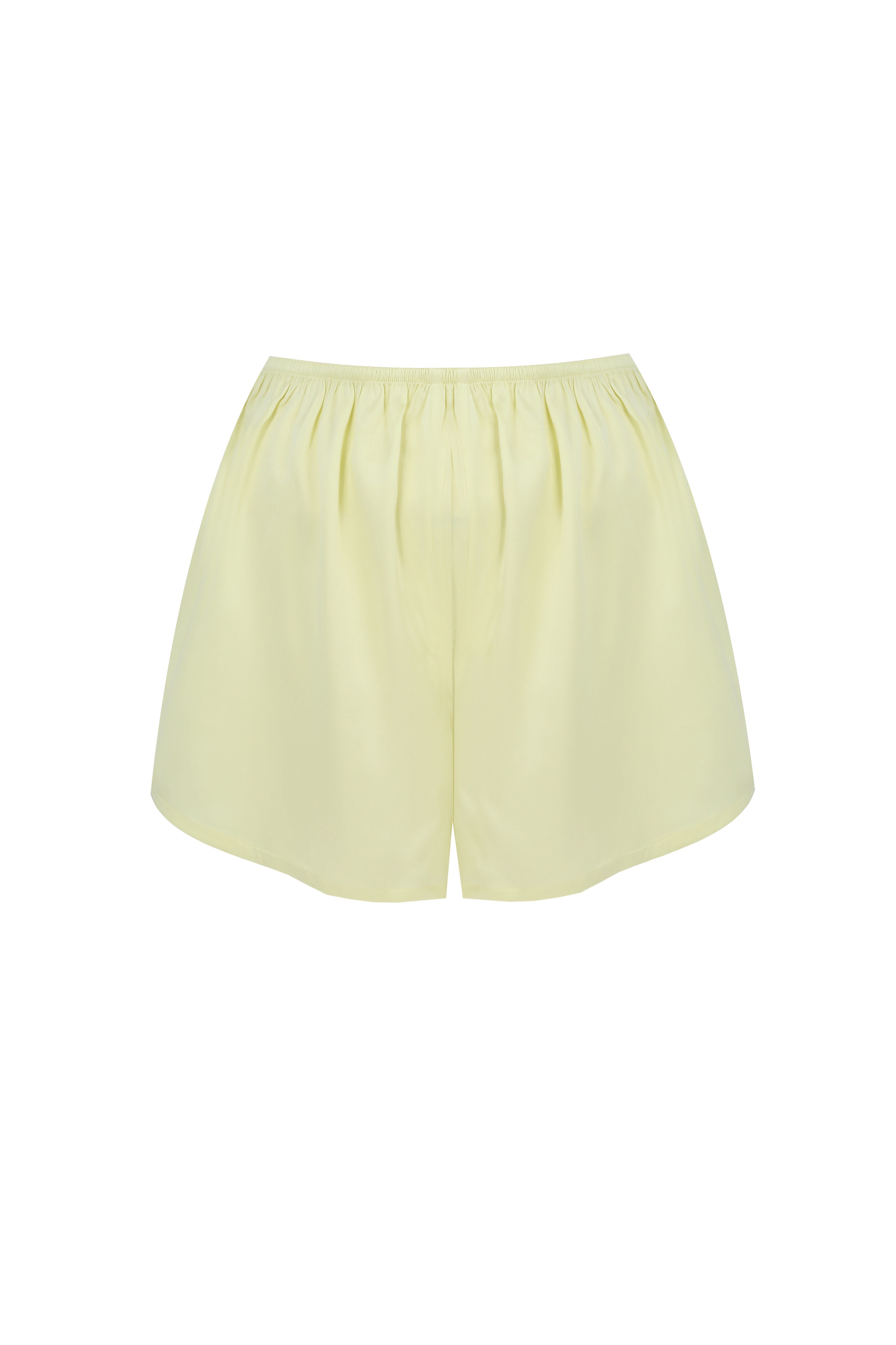 Silk Shorts