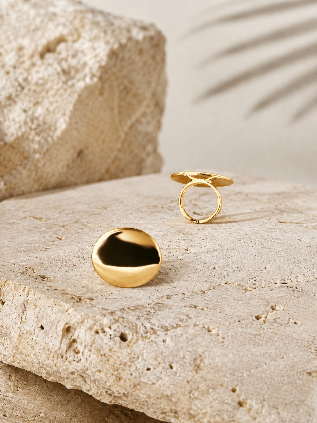 Vega Gold Siyah Detaylı Çelik Küpe