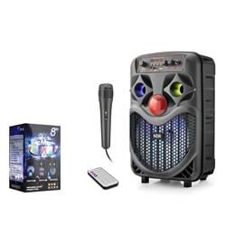 NDR NDRP66 Karaoke Mikrofonlu Bluetooth Hoparlör FM Radyo 10W 8 İnç RGB Siyah