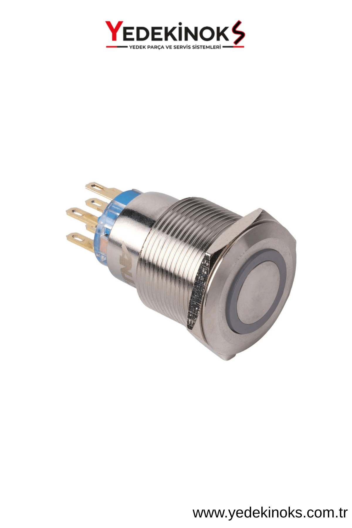 A22SFE-22Z Paslanmaz Çelik Buton 220V Mandallı Yeşil Ledli 