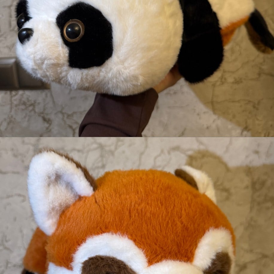 Dönüşen Peluş