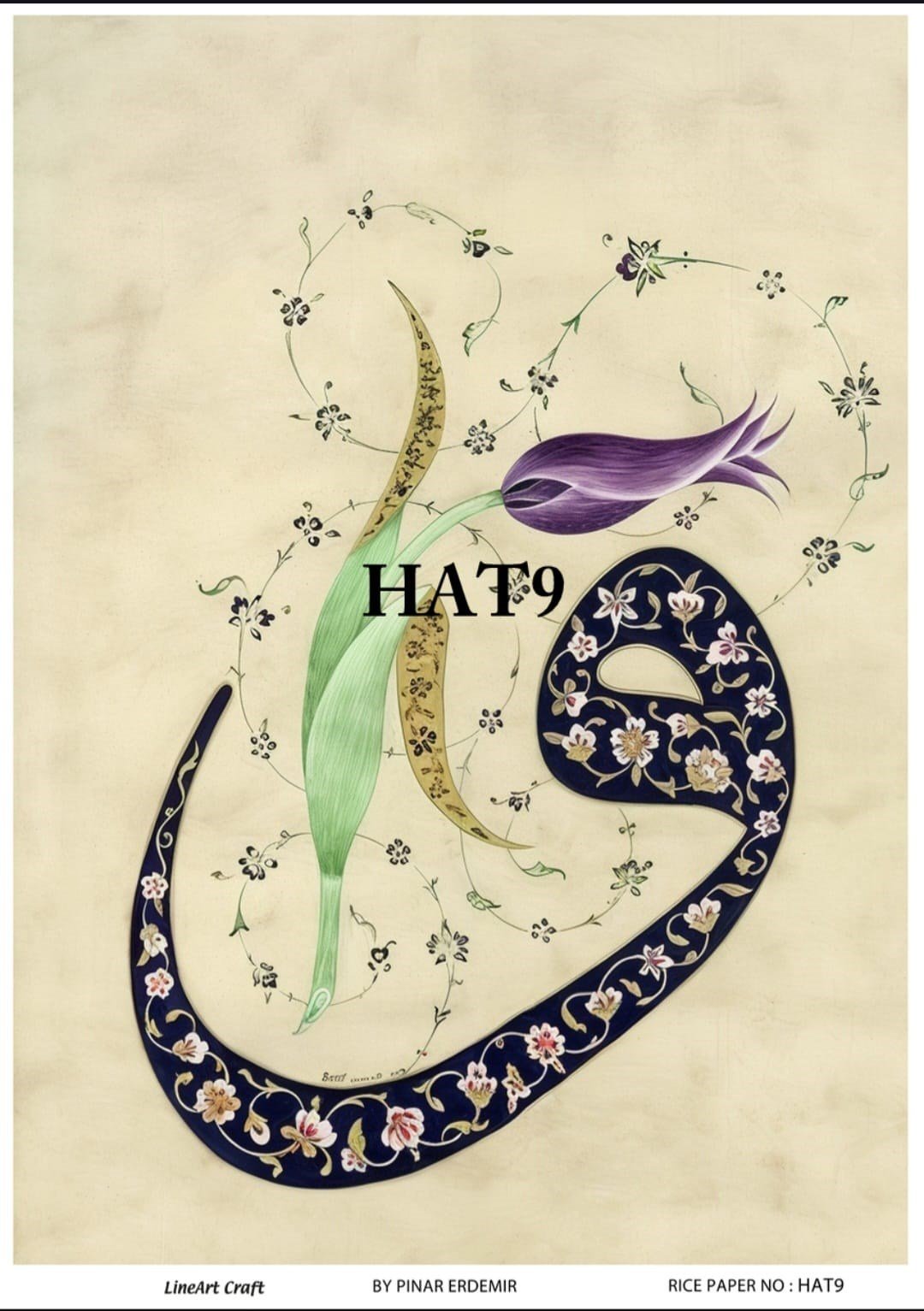 HAT9