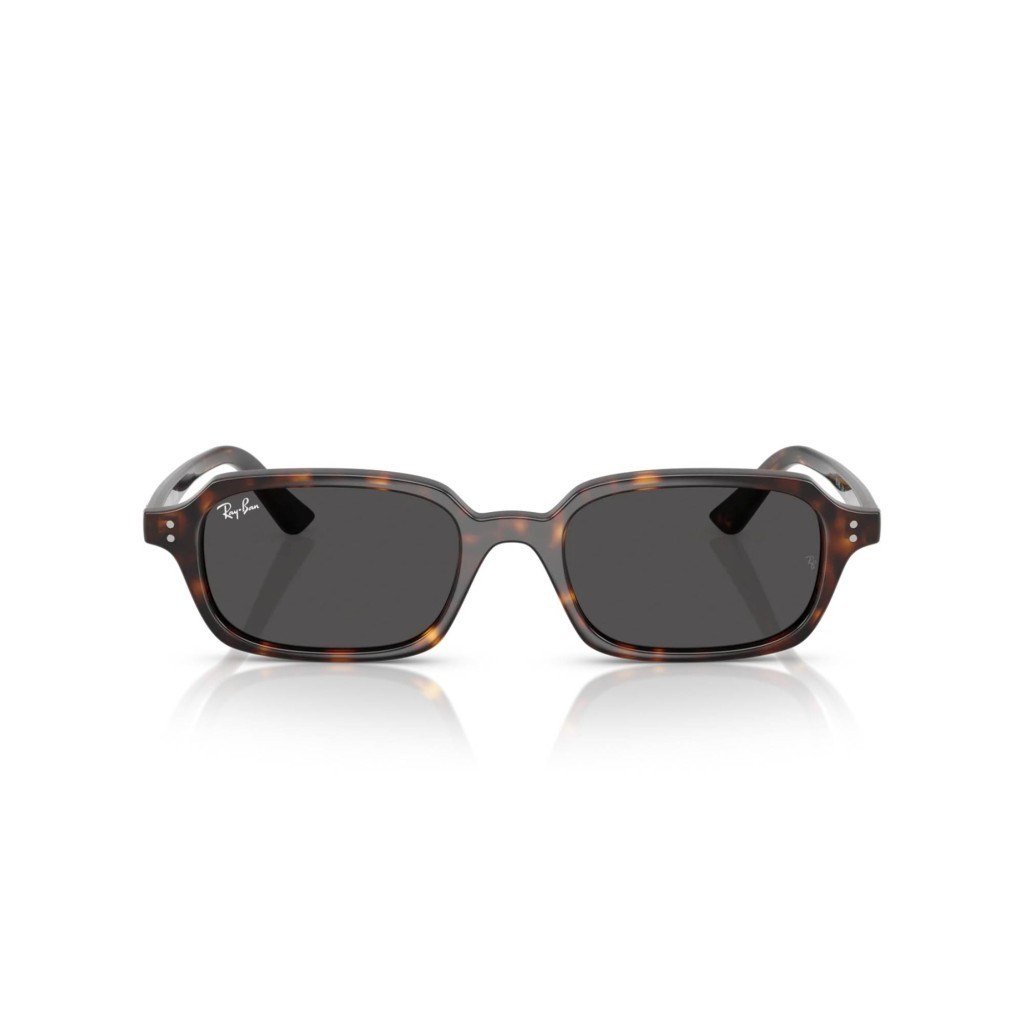 Ray-Ban RB 4455 135987 .49 Unisex Güneş Gözlüğü