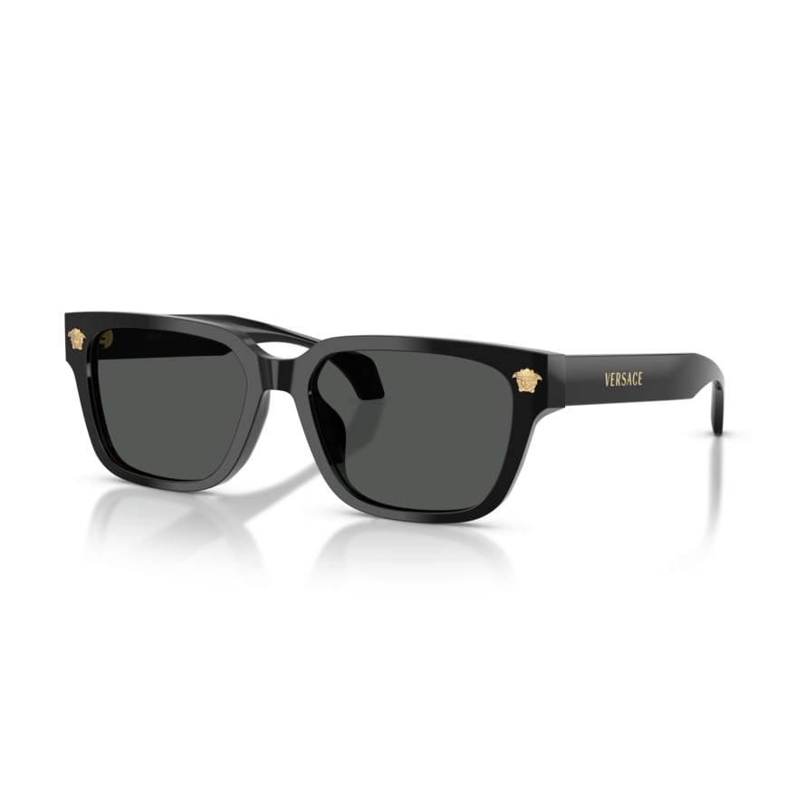 Versace VE 4513D GB1/87 .56 Güneş Gözlüğü