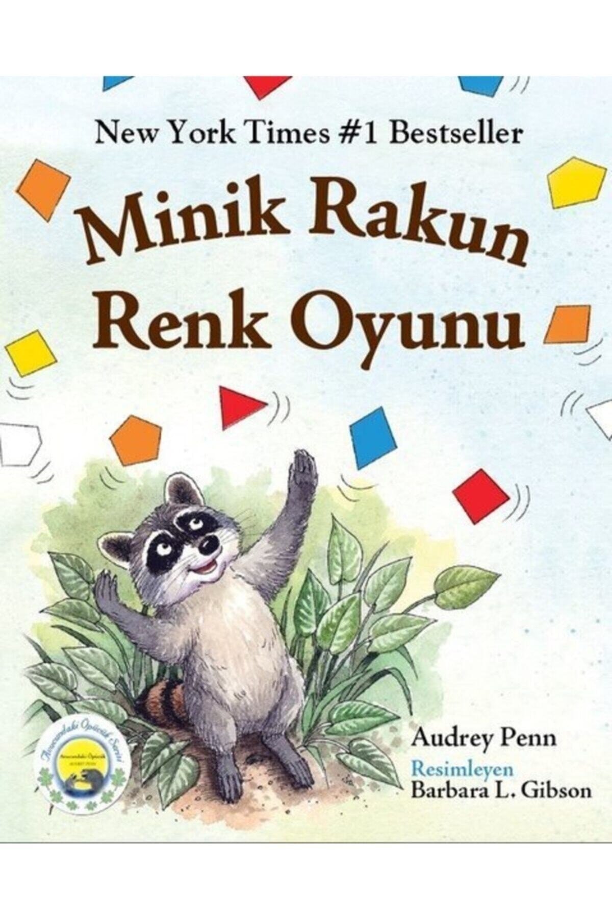 Minik Rakun Renk Oyunu