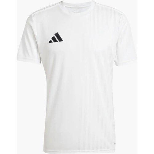 adidas CAMPEON25 Jsy M - Add