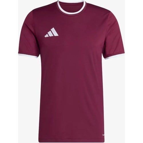 Adidas JZ2507 ENTRADA26 Erkek Forma