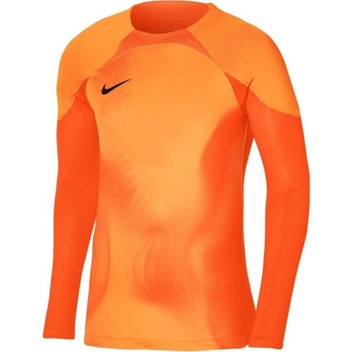 Nike M Nk Dfadv Gardıen Iv Gk Jsyls Erkek Kaleci Forması DH7967-819 Model Sezonluk Renkli