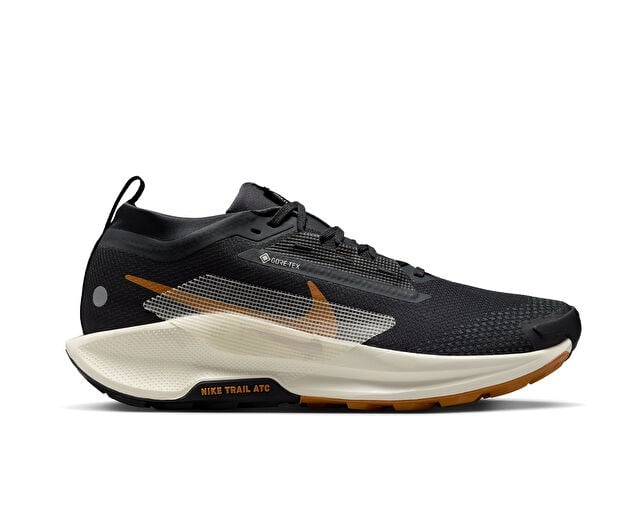 NIKE PEGASUS TRAIL 5 GORE-TEX Erkek Arazi Tipi Koşu Ayakkabısı FQ0908-007 Siyah