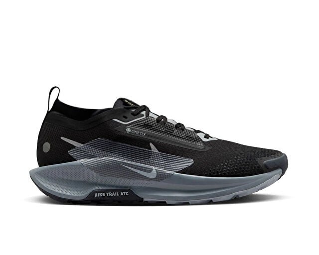 NIKE PEGASUS TRAIL 5 GTX Erkek Arazi Tipi Koşu Ayakkabısı FQ0908-001 Siyah