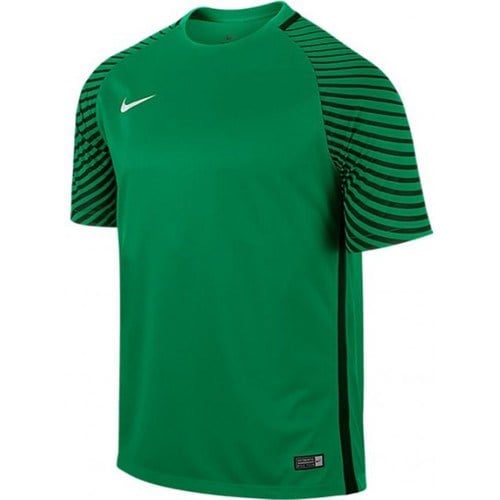 Nike Ss Gardien Jsy Erkek Yeşil Tek Üst Kaleci Forması 725889-319