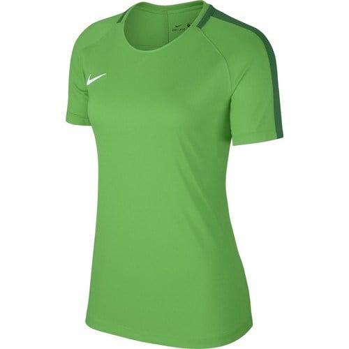 Nike W Nk Dry Acdmy18 Top Ss Kadın Tişört 893741-361