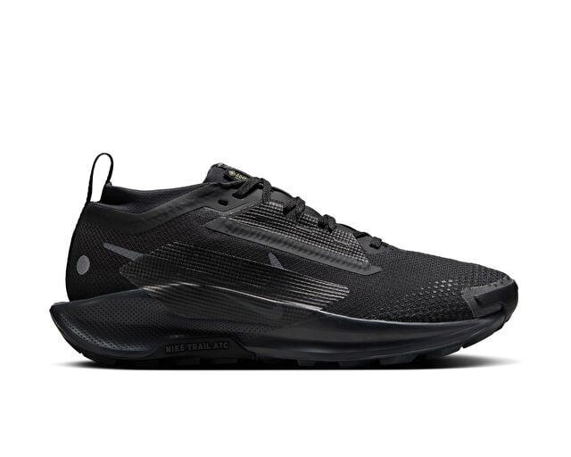 NIKE W PEGASUS TRAIL 5 GTX Unisex Arazi Tipi Koşu Ayakkabısı FQ0912-002 Siyah