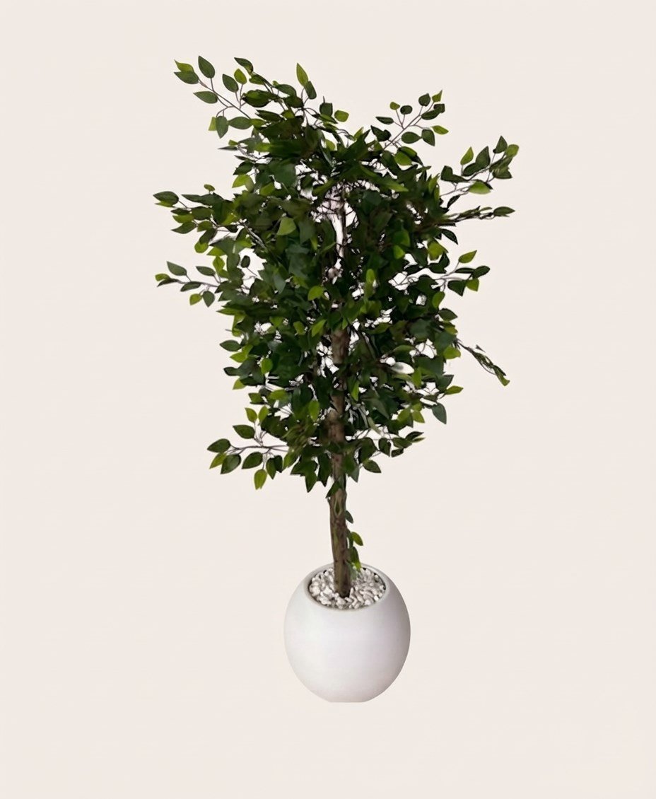 Dekoratif Yapay Benjamin Ağacı 160 cm (Plastik Küre Saksılı ve Beyaz Taşlı)