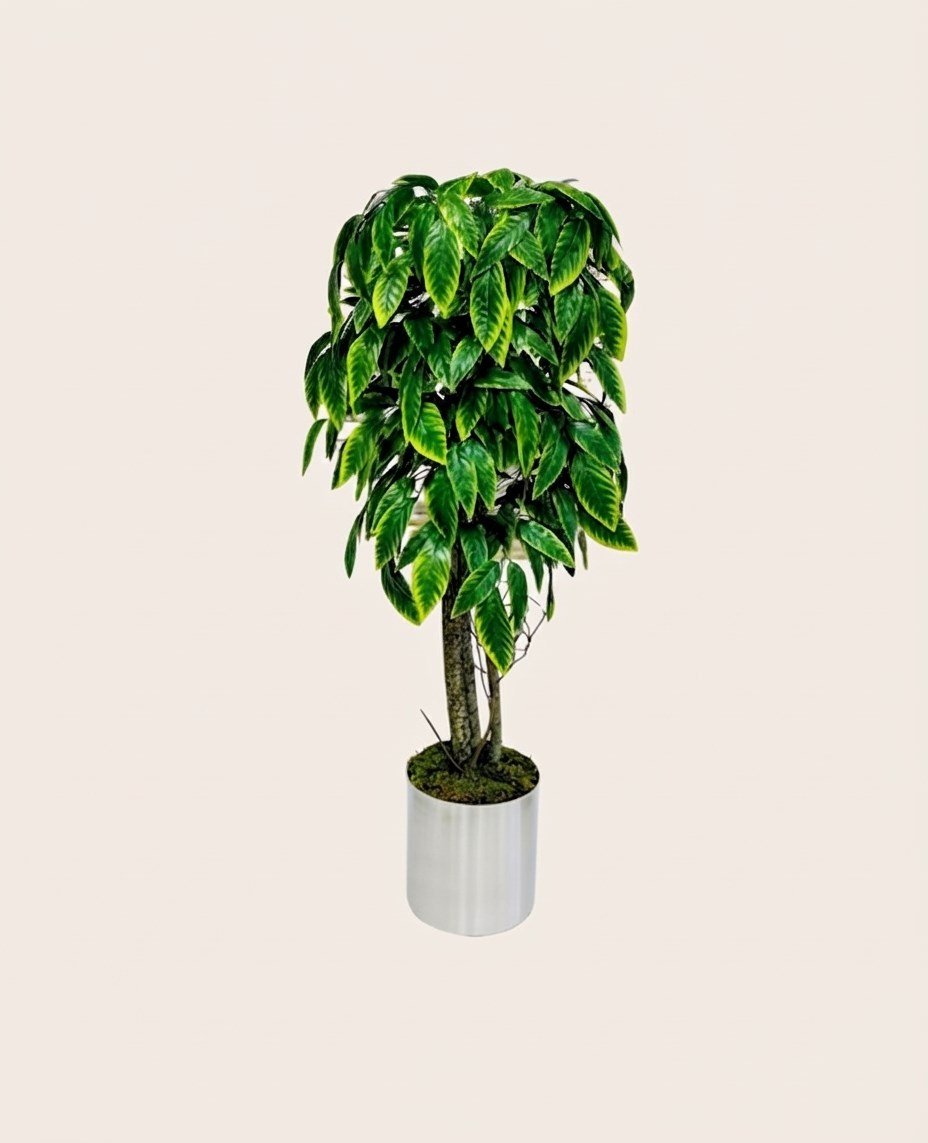 Dekoratif Yapay Ceviz Ağacı 1.70 cm (Metal Saksılı ve Beyaz Taşlı)