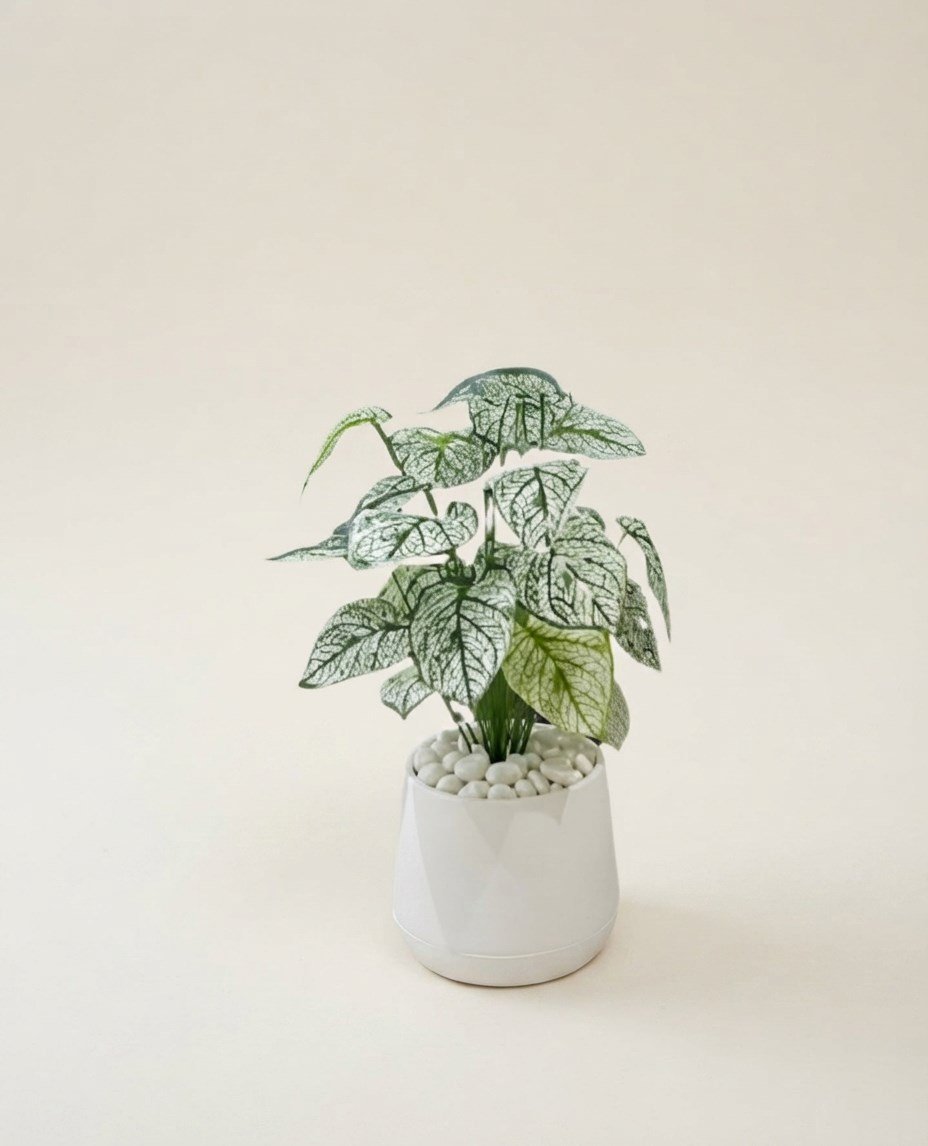 Dekoratif Yapay Kaladyum Çiçeği 80 cm (Plastik Atlas Saksılı ve Beyaz Taşlı)