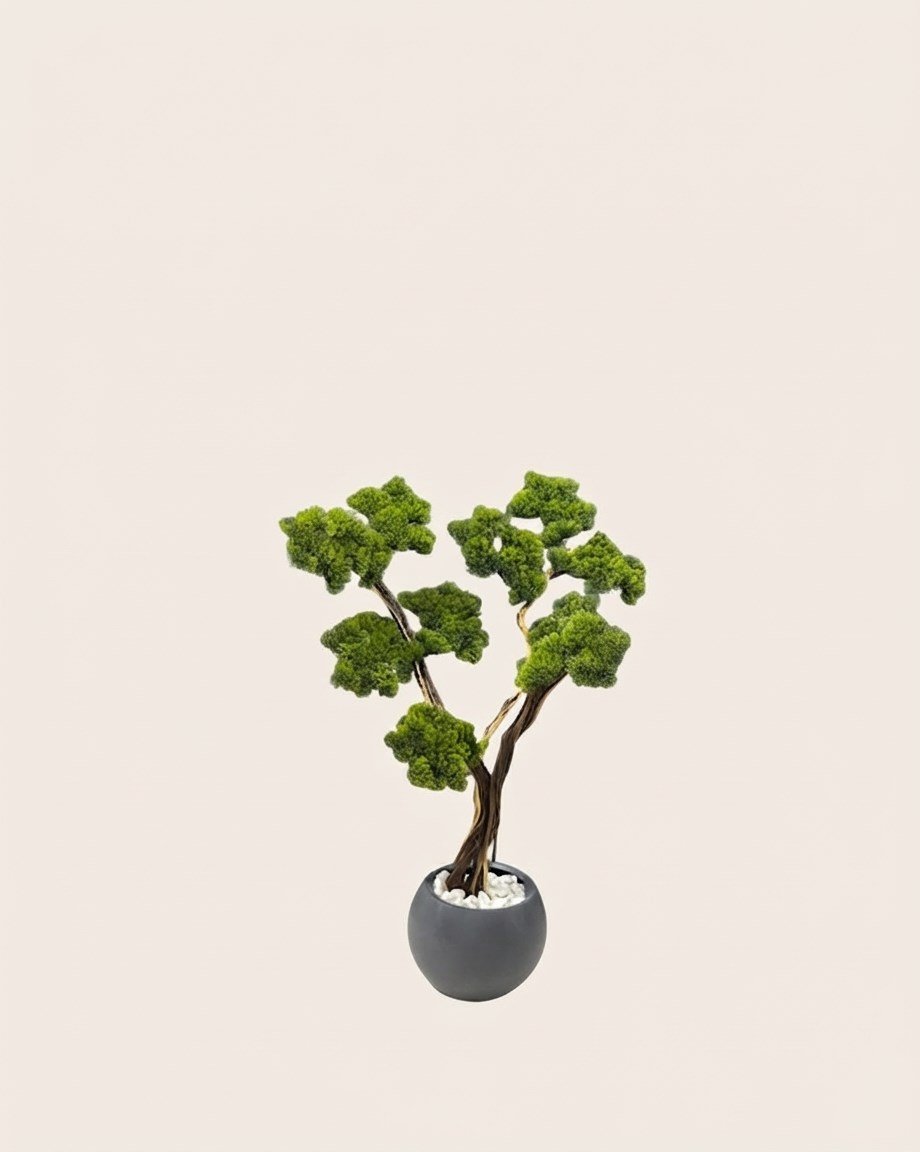 Dekoratif Yapay Yosunlu Bonsai Ağacı (Antrasit Küre Saksılı ve Beyaz Taşlı)