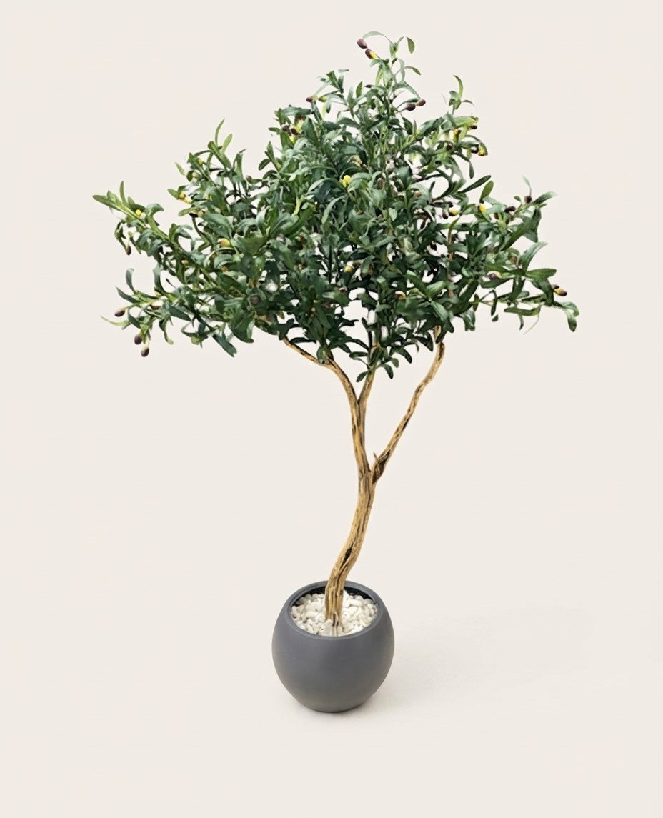 Dekoratif Yapay Zeytin Ağacı 180 cm (Antrasit Küre Saksılı ve Beyaz Taşlı)
