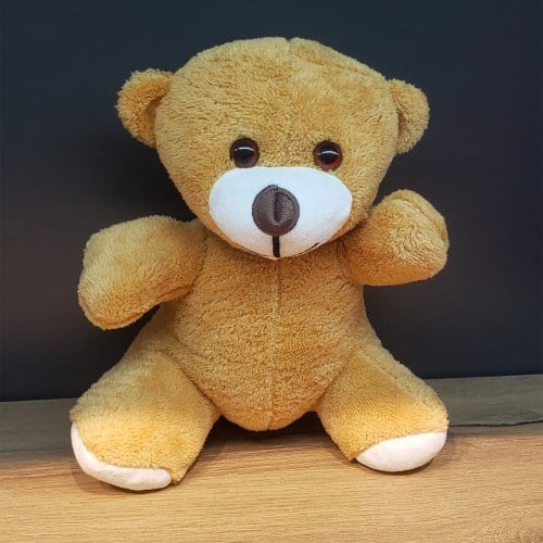 Kahverengi Peluş Oyuncak Ayı