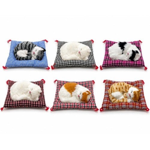 Yastıkta Uyuyan Kedi Sesli