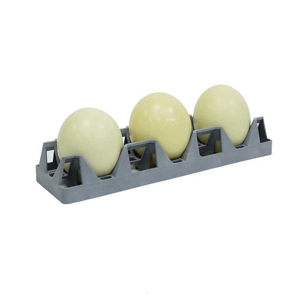 DEVEKUŞU KULUÇKA GELİŞİM TABLASI-TR03