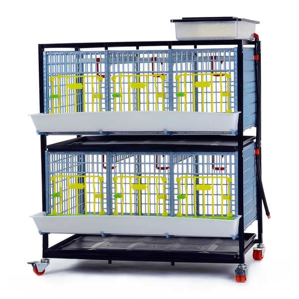 GELİŞTİRME KAFESİ GL40 / 2 KATLI