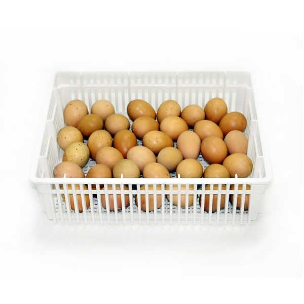 KULUÇKA ÇIKIM SEPETİ CS35-Y (KAPAKSIZ)