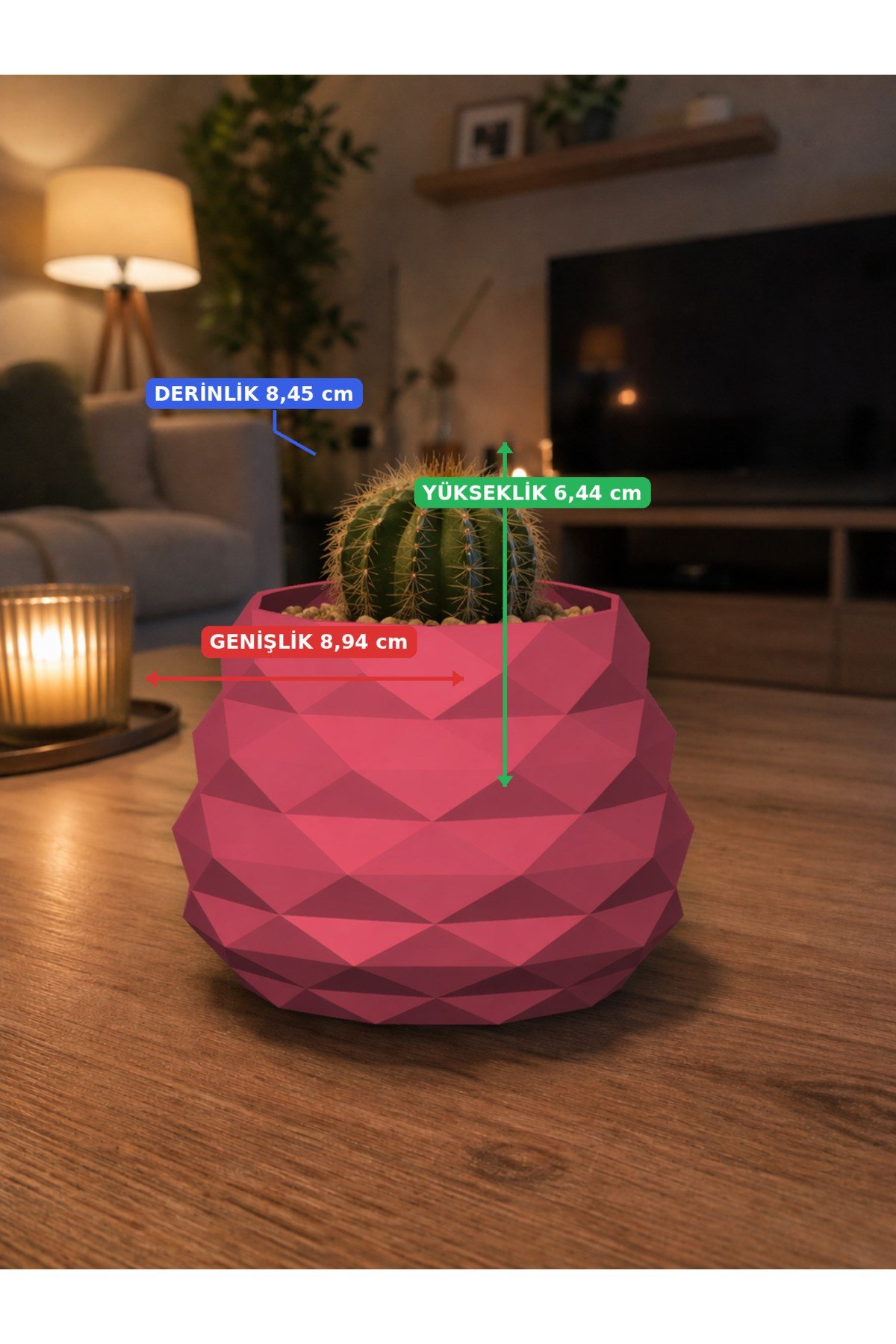 Geometrik Mini Kaktüs Saksısı | Dekoratif Masa Üstü Saksı | 3D Baskı