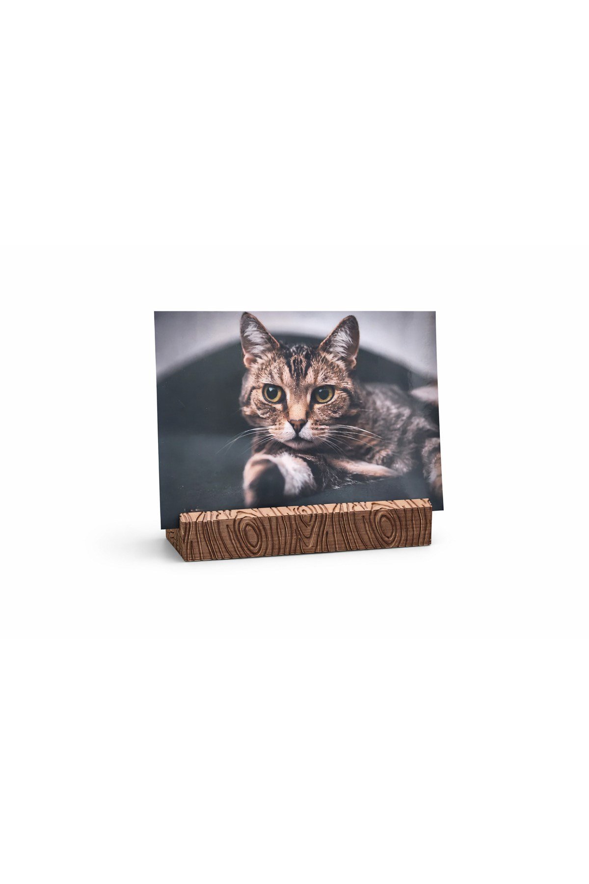 Kartlık Stand – Fotoğraf & Not Tutucu Masa Üstü 3D Baskı