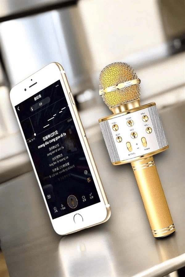Şarjlı ve Uzun Pil Ömürlü Karaoke Mikrofon USB Bellek Destekli, Profesyonel Ses