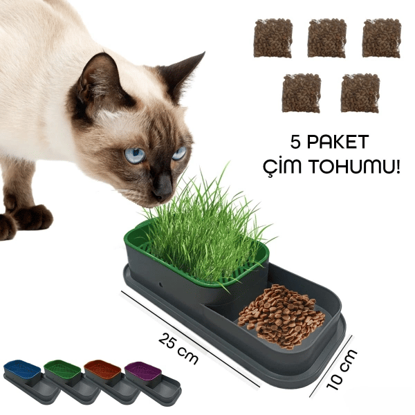 Topraksız Kedi Çimi Kabı