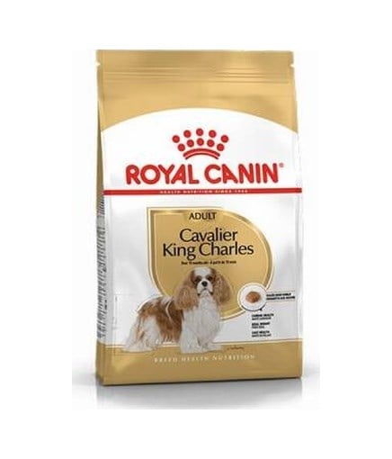 Cavalier King Charles Adult Yetişkin Köpek Maması 3 Kg