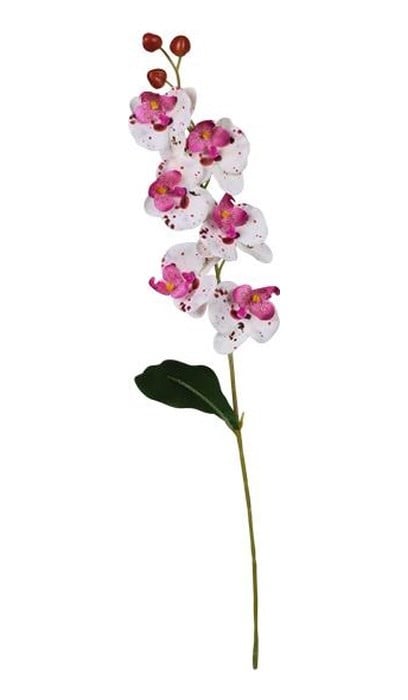Ogc-0018 62 Cm 1 Adet Şeffaf