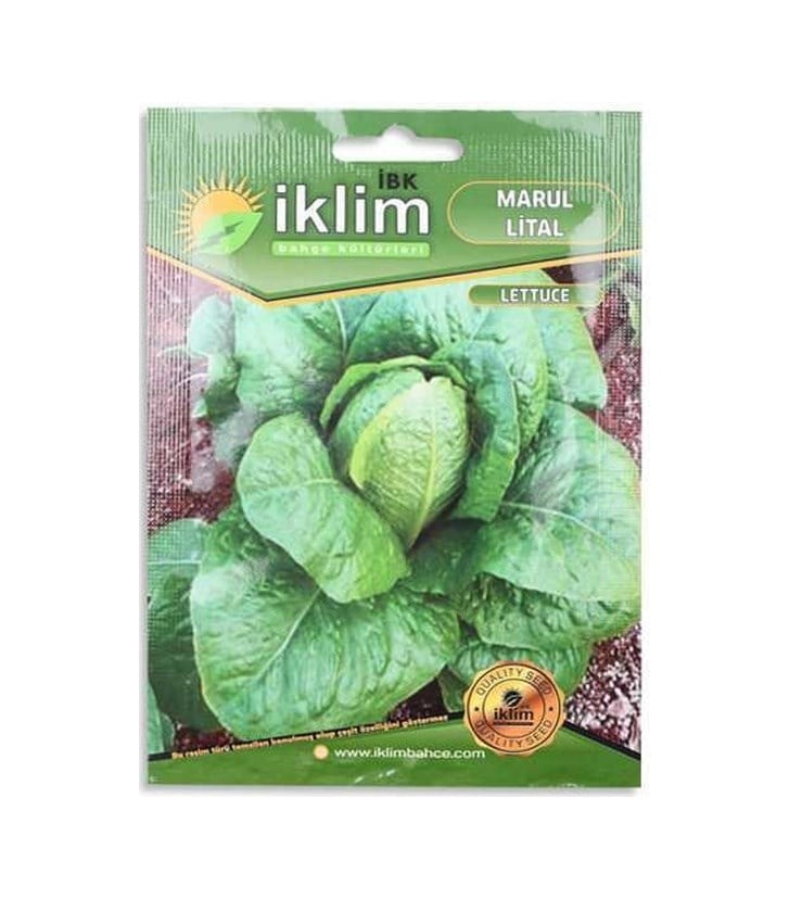 Tohum Marul Lıtal 5gr 1 Adet