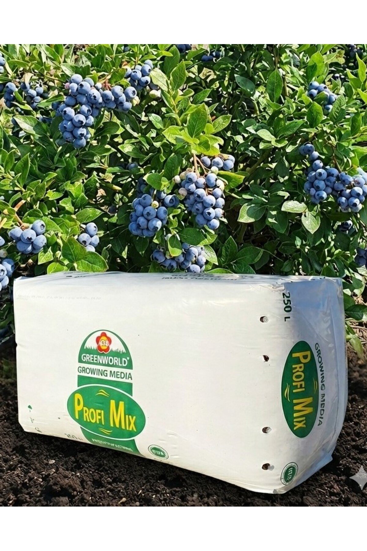 250 Lt Profimix Ithal Blueberry Yaban Mersini Torfu - Ph 3,5 - 4,2 Asidik Toprak 0-40 Mm