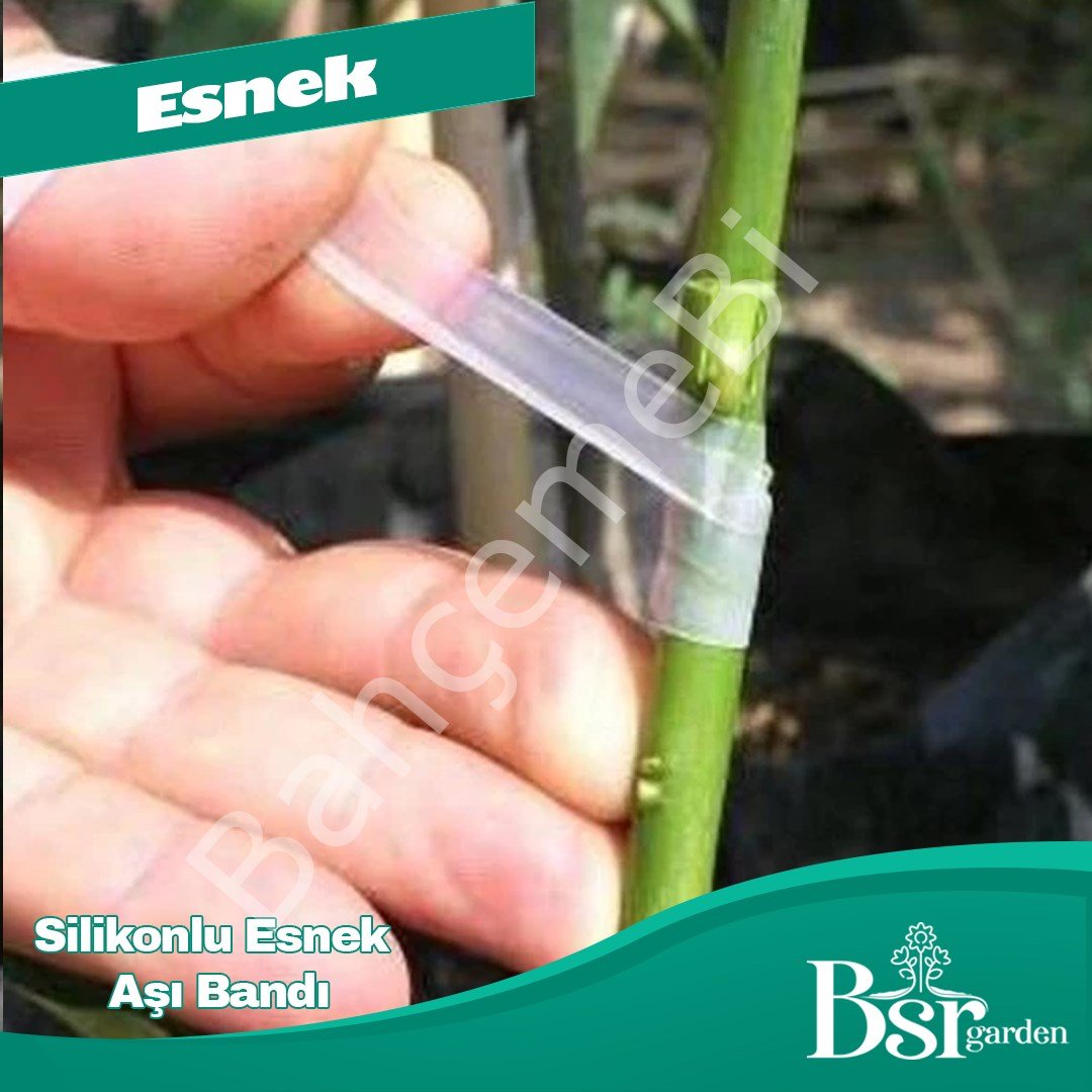 Bsr Garden Silikonlu Aşı Bandı 1 Rulo