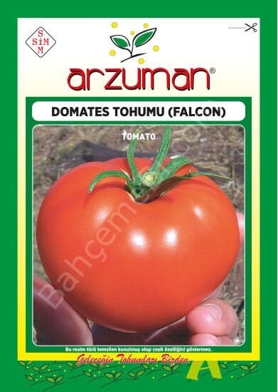 Falcon Domates Tohumu 5 gr – Arzuman