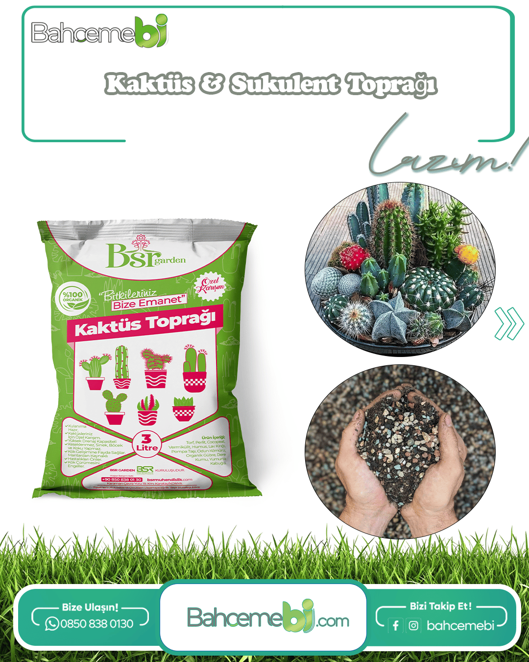 Kaktüs Özel Toprağı 3 Litre Bsr Garden