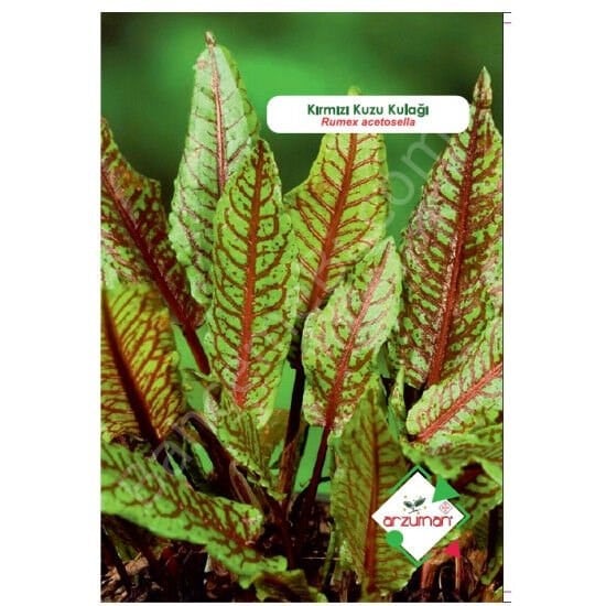KIRMIZI KUZUKULAĞI (Rumex acetosella) Tohumu 50 Adet | Arzuman