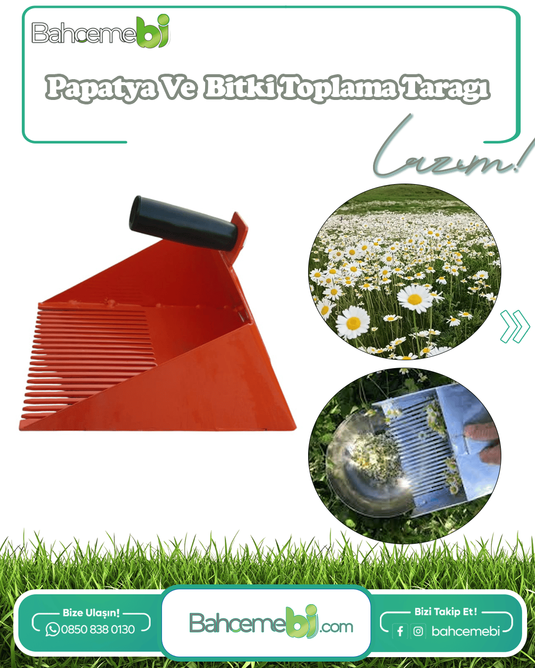 Papatya Ve Tıbbi Bitki Toplama Tarağı Metal Bsr Garden