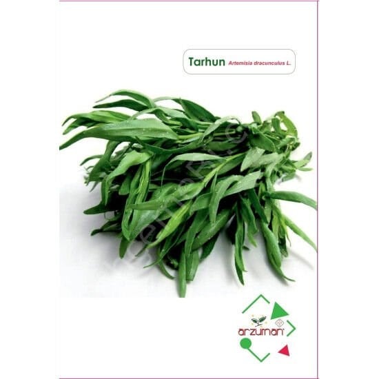 Tarhun Tohumu | 50 Adet | Arzuman
