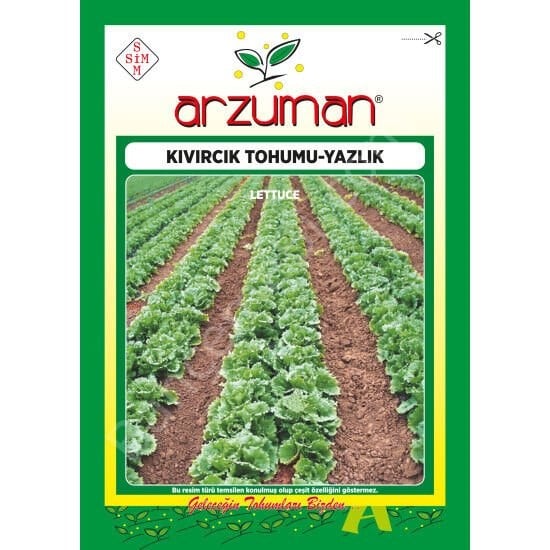 Yazlık Kıvırcık Marul Tohumu 10 Gr –Arzuman