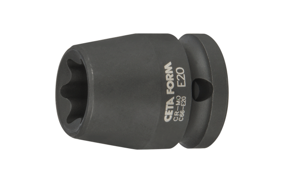 ceta-form-12-dis-torx-havali-lokma-ana-2-2882.png