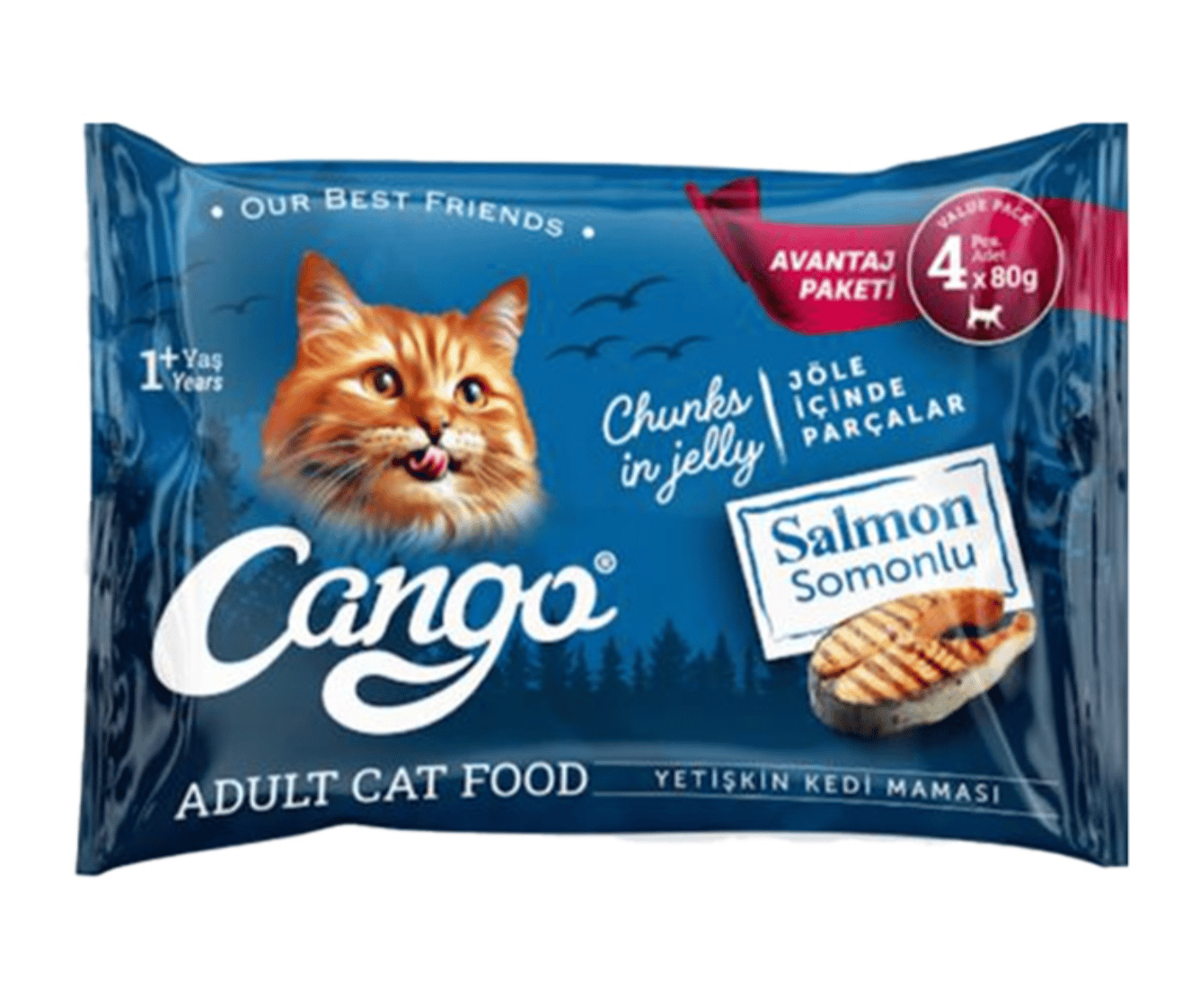 cango-somonlu-yetiskin-kedi-yas-mamasi-94ddd6.png