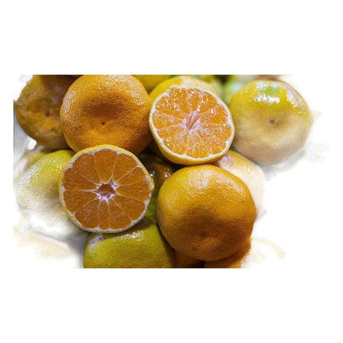 mandalina-rize-kg-0dd322.jpg