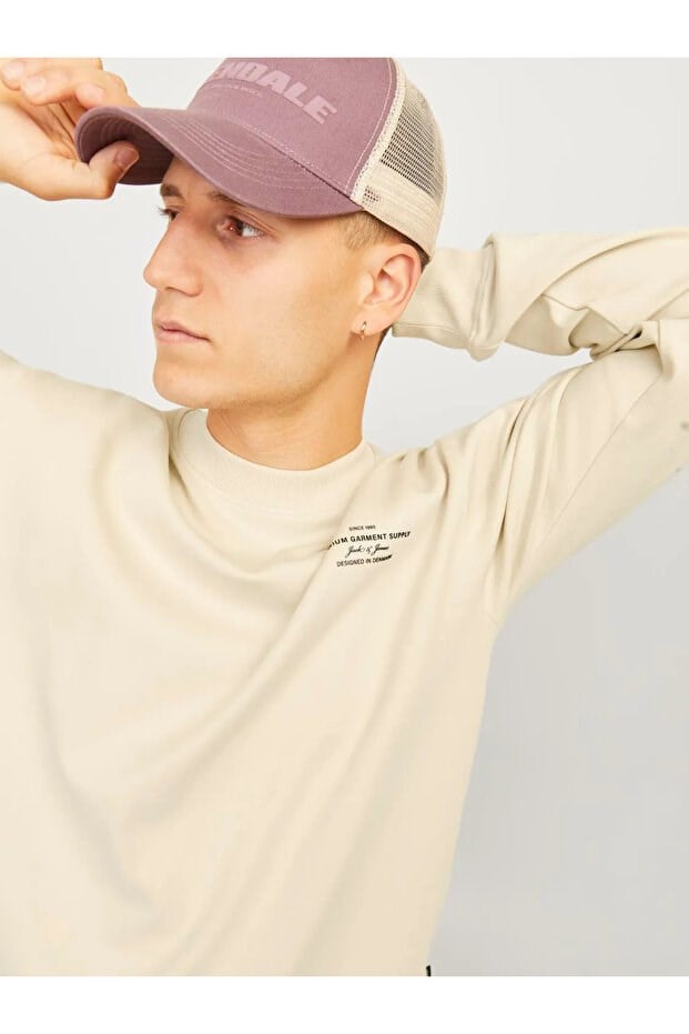 Jack&Jones JPRBLACHAD BRANDING SWEAT CREW NECK LN Bej Erkek Sweatshirt