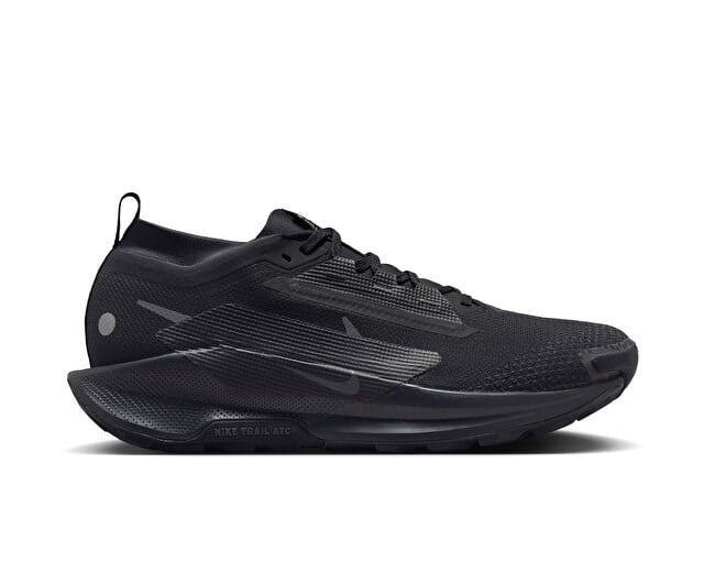 Nike NIKE PEGASUS TRAIL 5 GTX Siyah Erkek Koşu Ayakkabısı