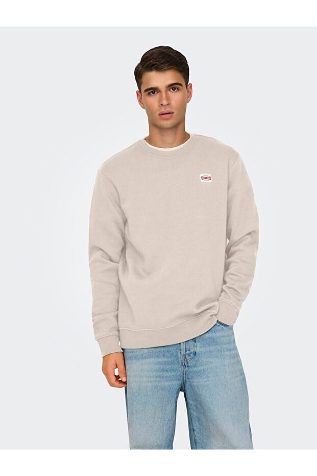 Only&Sons ONSDAWSON REG CREW WW VD Bej Erkek Sweatshirt