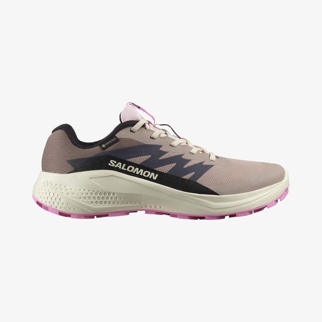 Salomon ALPHAGLIDE GORE-TEX Pudra Kadın Koşu Ayakkabısı