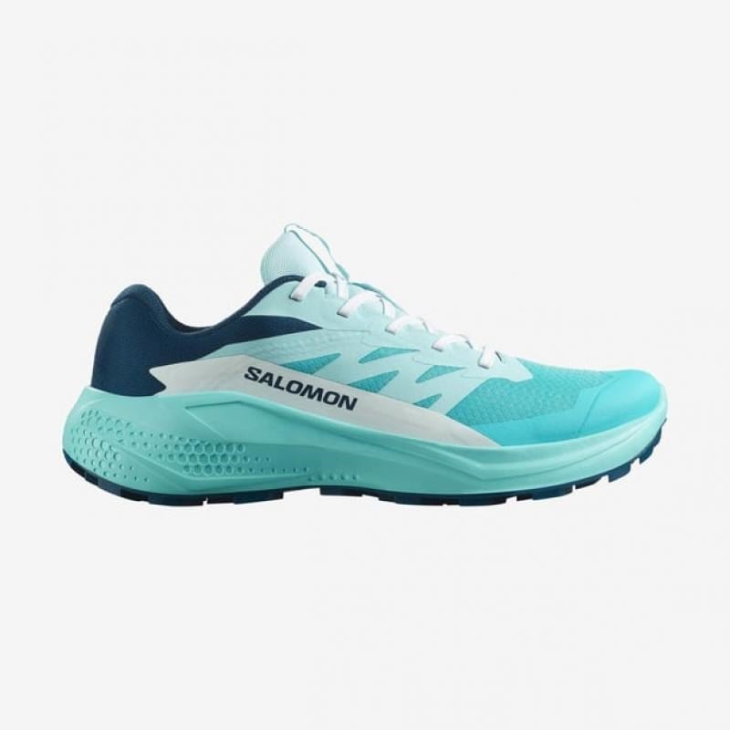 Salomon ALPHAGLIDE W Mavi Kadın Koşu Ayakkabısı